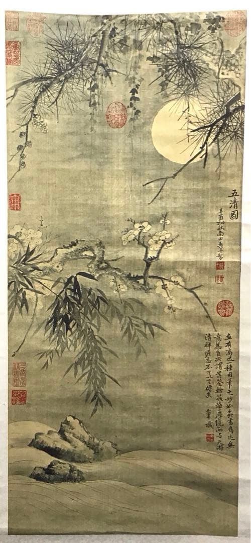 K茶道具　掛軸　「梅花の図」(五清図)印刷？　作者不明　配送用桐箱　S179KJ