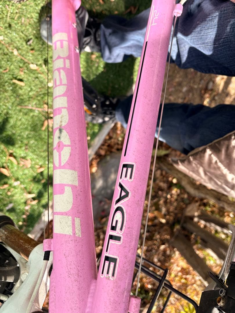 ianchi eagle 24インチ　ピンク ハンドルバスケット付き