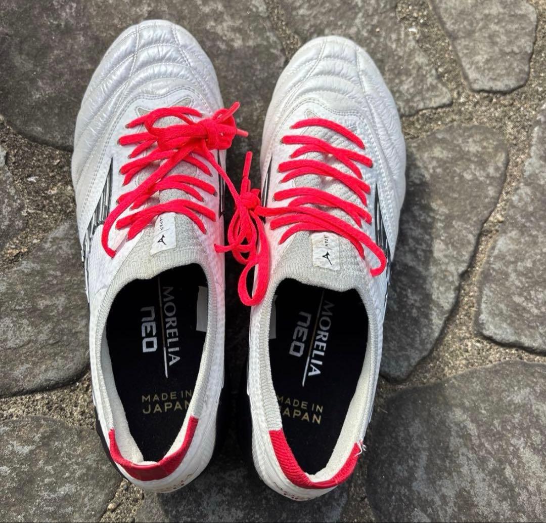 モレリアネオ4β定番カラー白