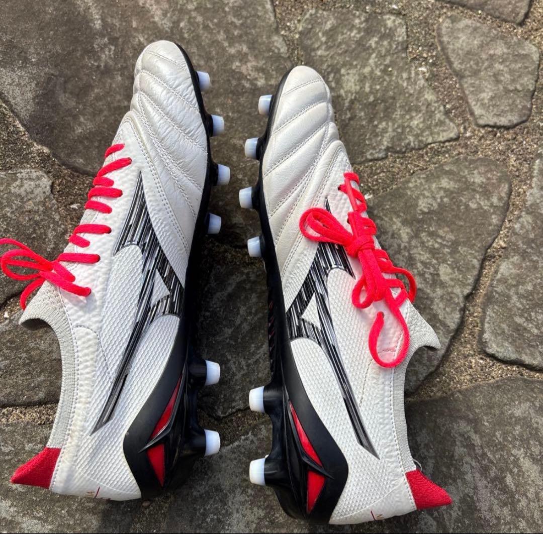 モレリアネオ4β定番カラー白