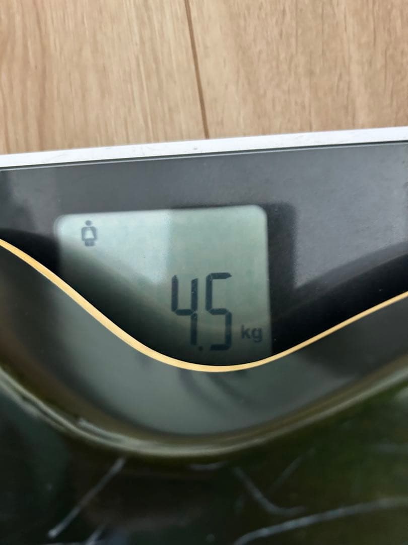 ギター fernandes flg-80