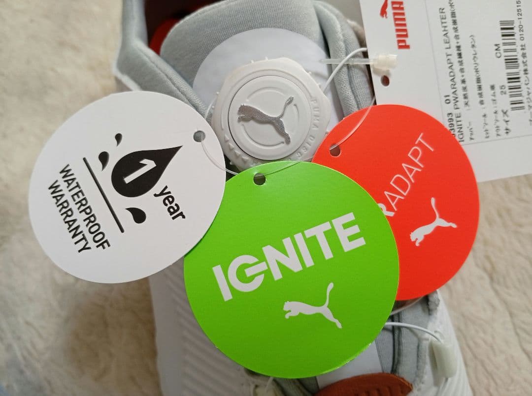 プーマ ゴルフシューズ　IGNITE　25.0㎝