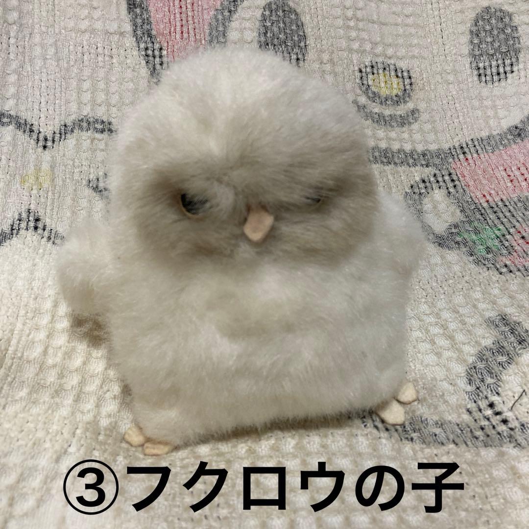 やまね工房　ぬいぐるみ　8コセット　中古品　落合けいこ