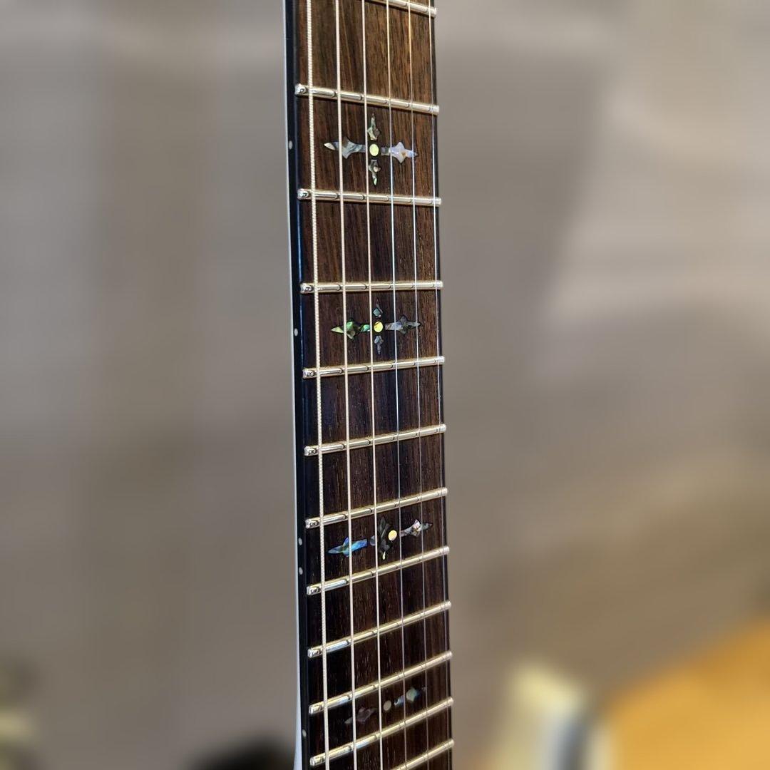 最終値引　シェクター DIAMOND シリーズセットネックEMG フロイドローズ