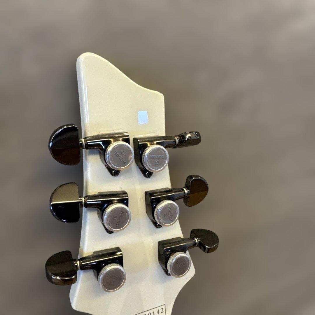 最終値引　シェクター DIAMOND シリーズセットネックEMG フロイドローズ