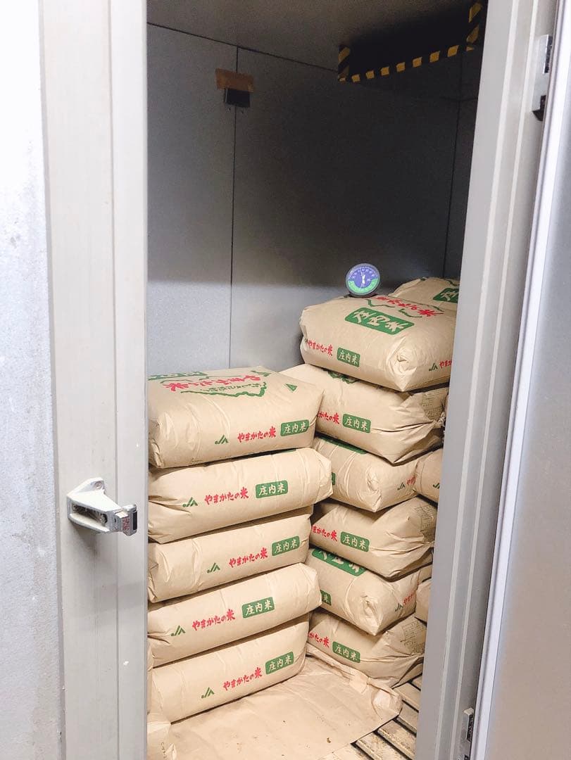 【華金SALE】山形県庄内産　令和7年新米コシヒカリ23kg