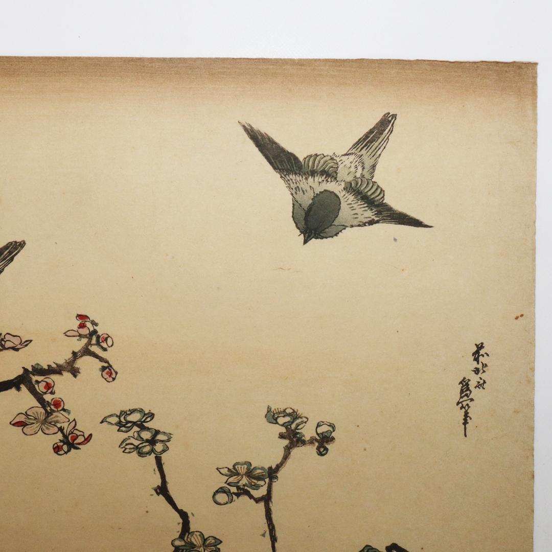 葛飾北斎　大判　木版画　花鳥図　浮世絵　梅　鳥