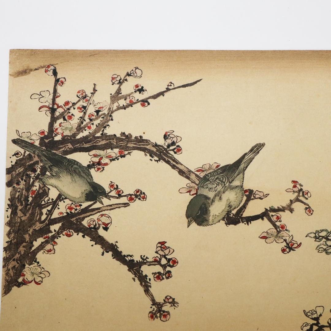 葛飾北斎　大判　木版画　花鳥図　浮世絵　梅　鳥