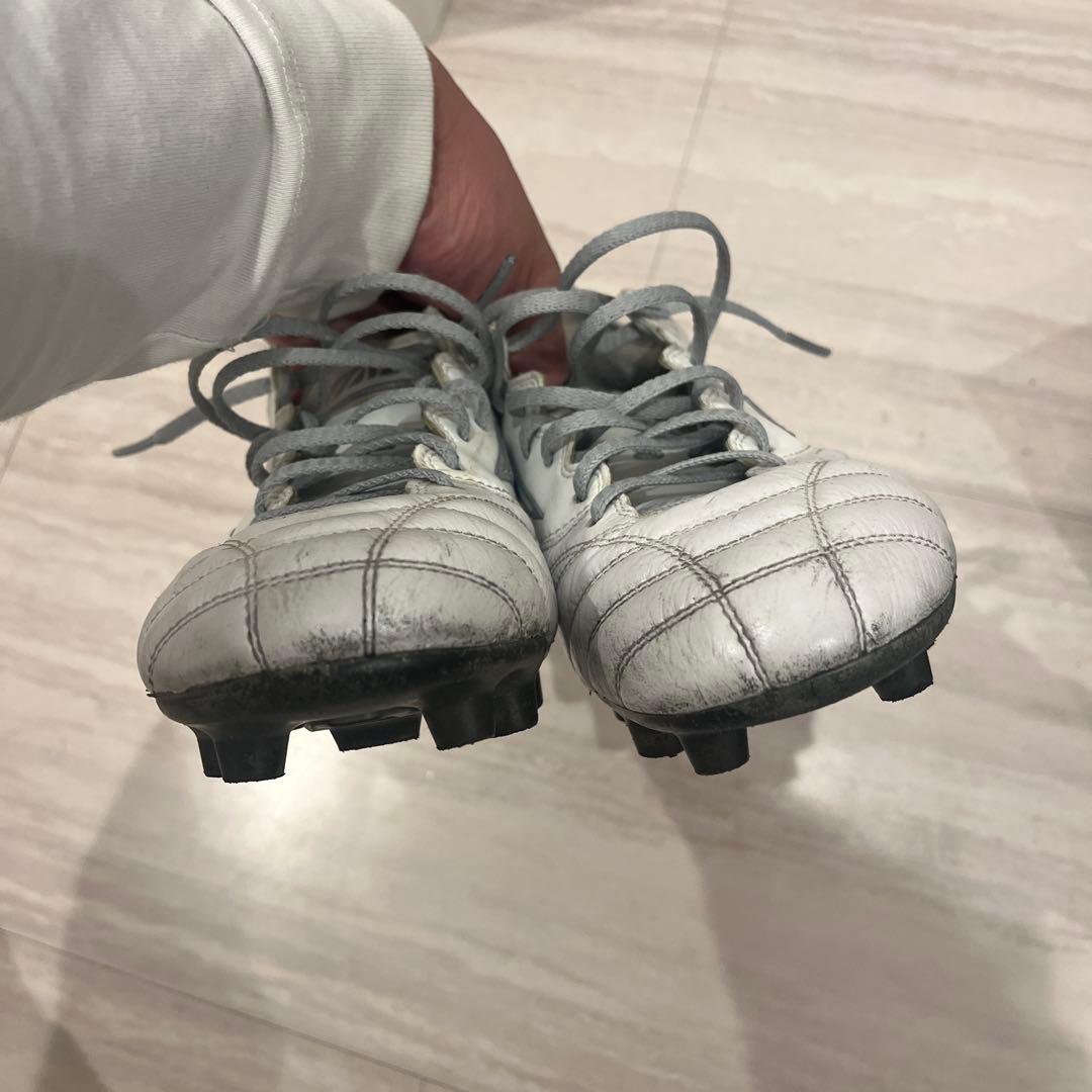 モレリアネオ　25.5