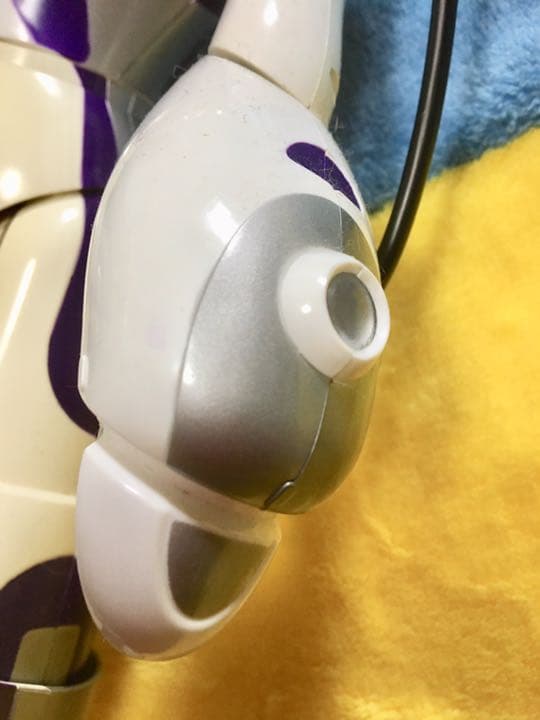 フェミサピエン