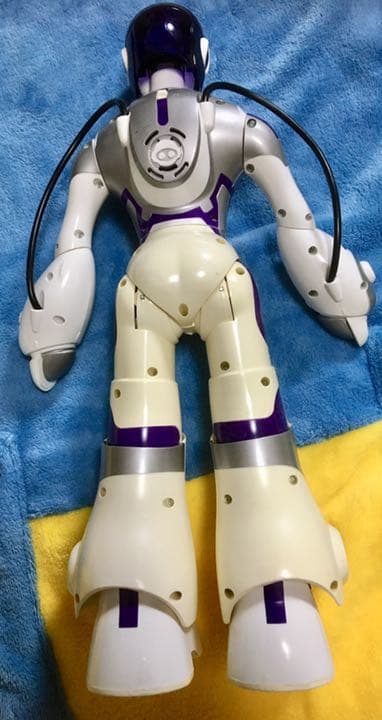 フェミサピエン