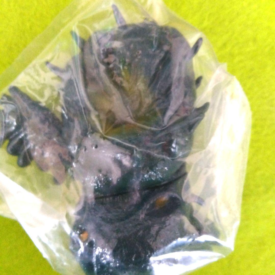 バンダイ　ウルトラマン ソフビ道　其の二　グリーンモンス　新品未開封