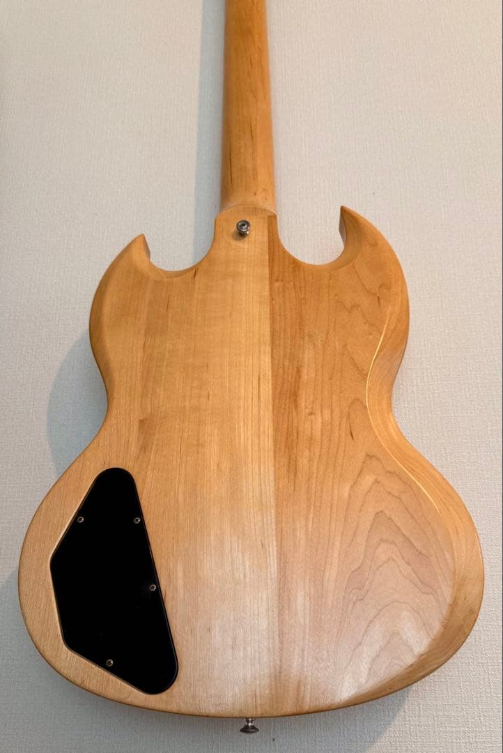 ギター '09 Gibson SG rawpower