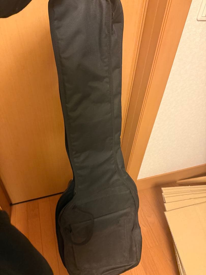 Bacchus WL-434 エレキベース