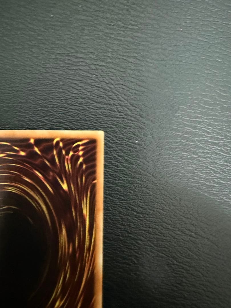 青眼の白龍 ホロパラ