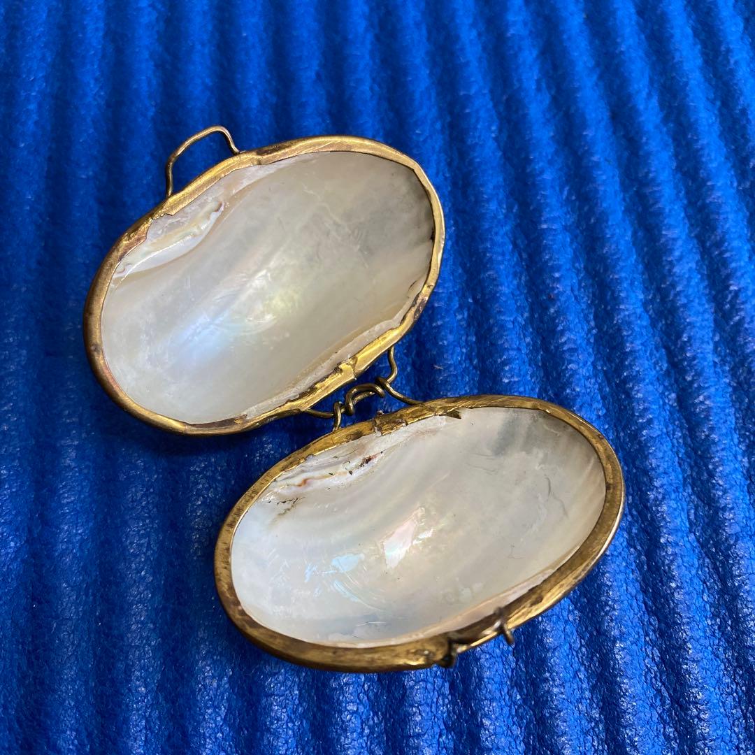 フランスアンティークマザーオブパール　白蝶貝