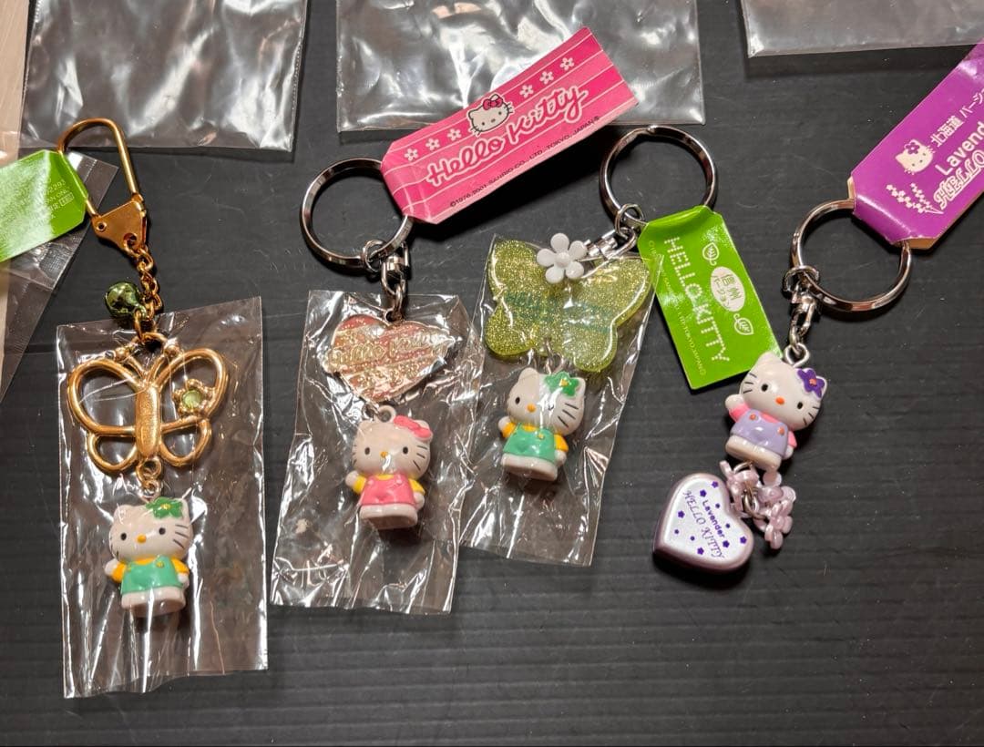 激レア、未開封多数！大量ご当地キティ ハローキティキーホルダーまとめ星座 温泉