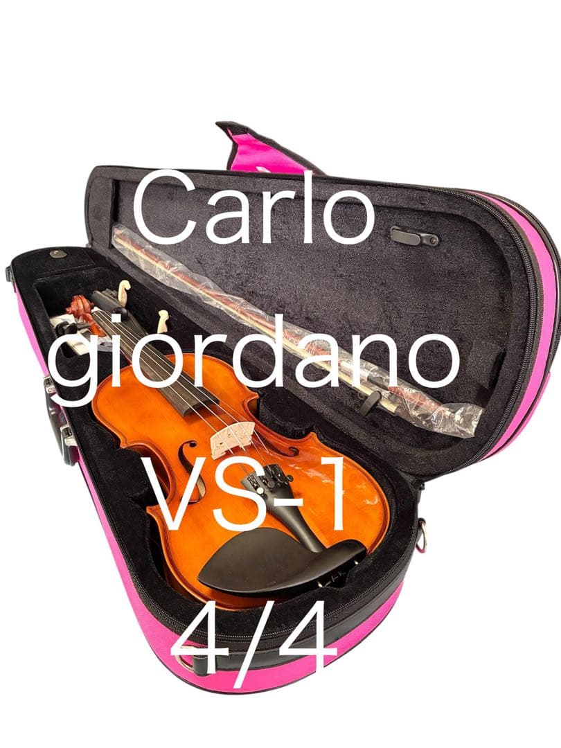 Carlo giordano カルロ ジョルダーノ バイオリン 4/4