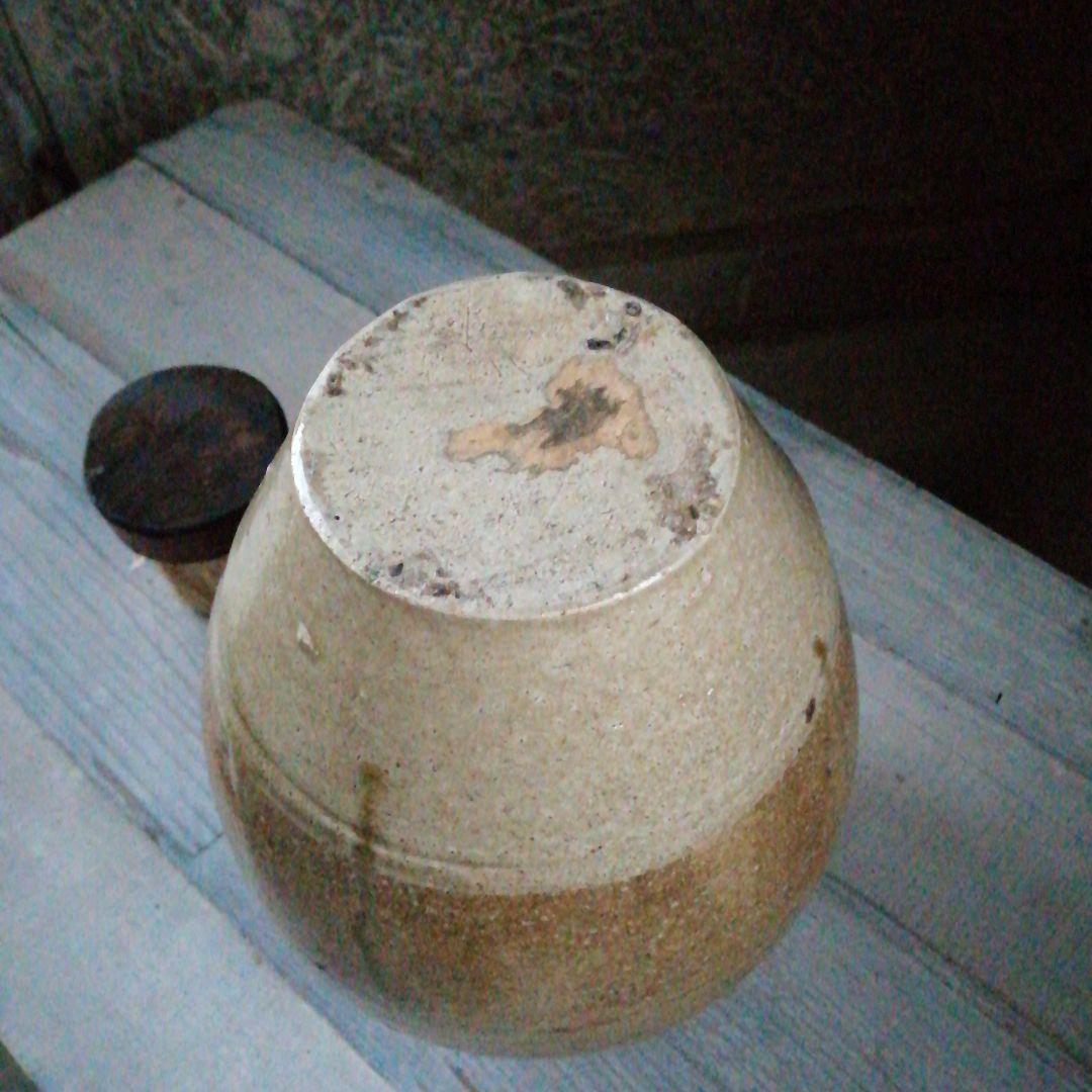 信楽焼　四耳茶壺　23cm　幕末〜明治期