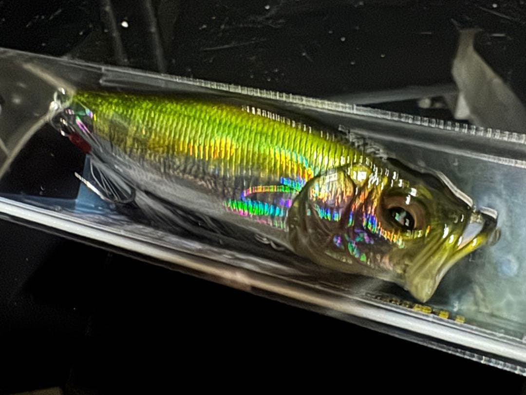 メガバス POP MAX エキシビジョン　スイッチングB/H 2026