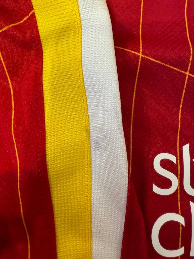 【本人サイン写真有り】フェルナンド・トーレス 直筆サイン入 LFC 24/25