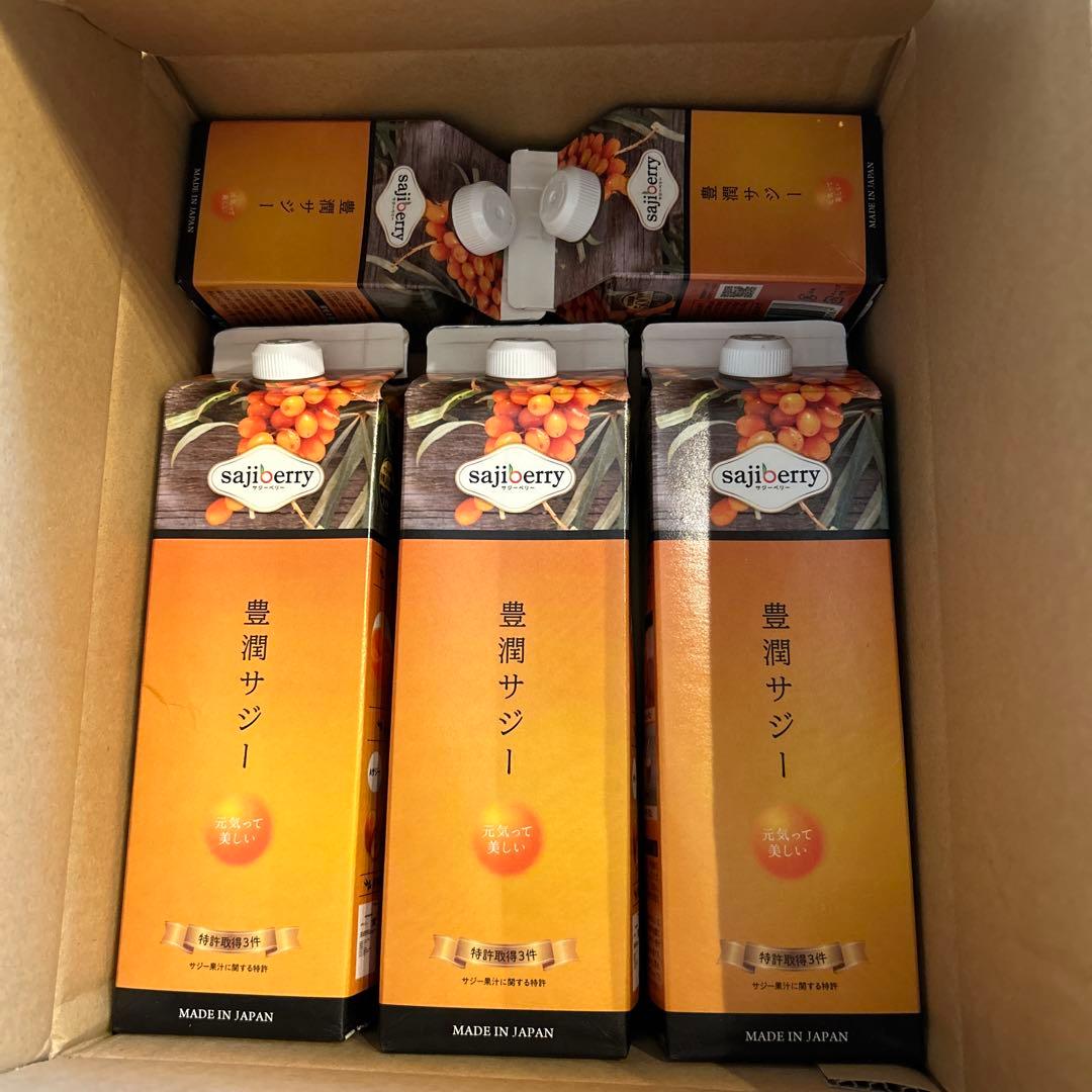 豊潤サジー 3ヶ月分＋おまけ