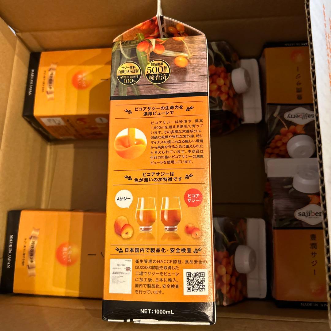 豊潤サジー 3ヶ月分＋おまけ