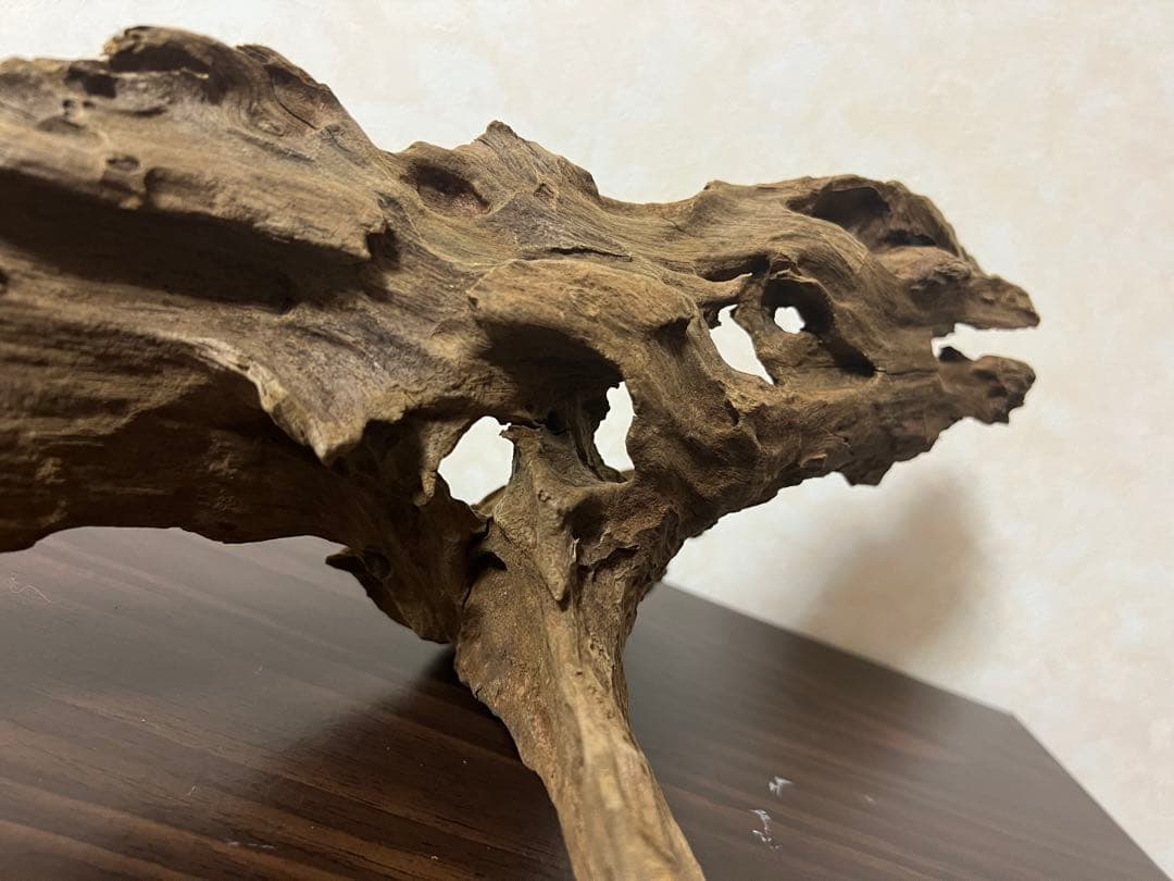 XM-363 ブランチウッド　流木　マシンガンウッド　アクアリウム　爬虫類