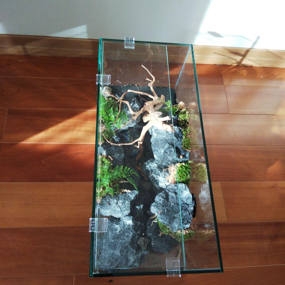 【受注生産】横から見るアクアテラリウム