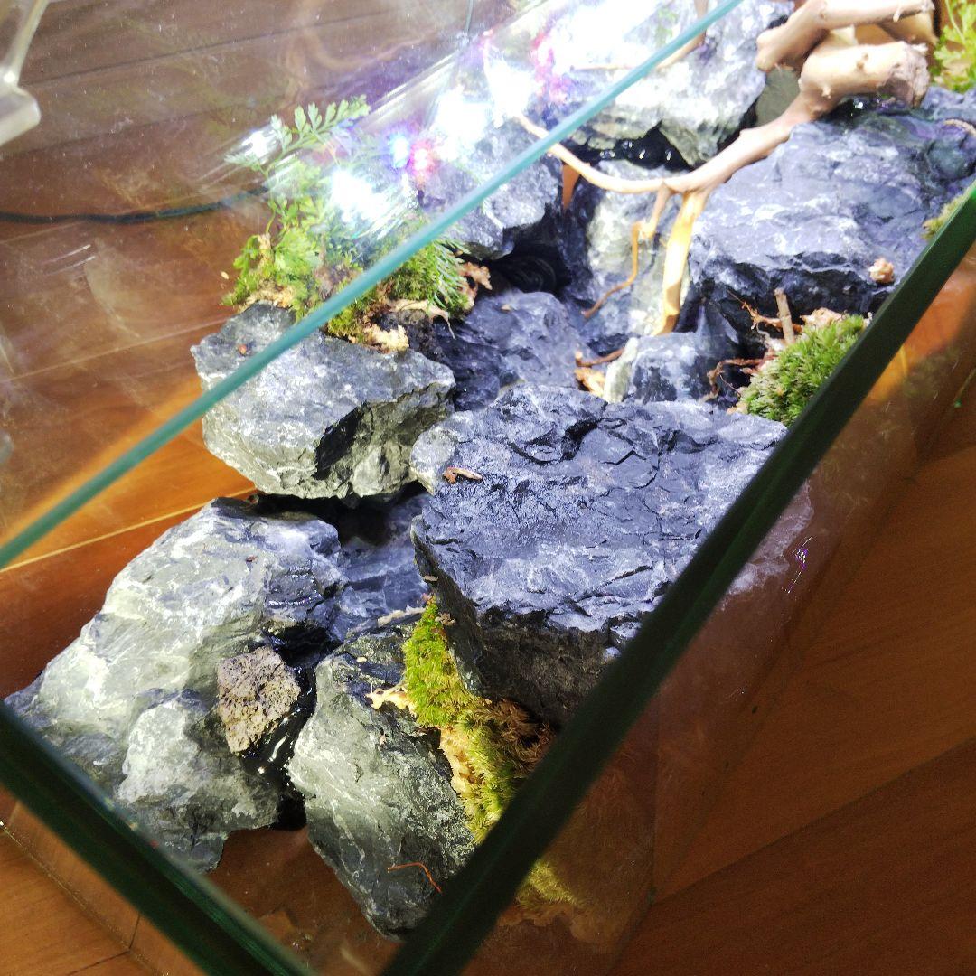 【受注生産】横から見るアクアテラリウム