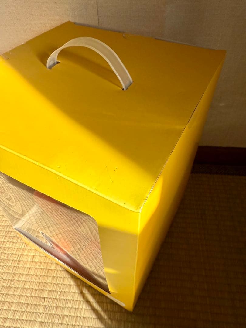 鍋*様 【箱傷み大の未開封品】ラインフレンズ　サリーぬいぐるみ