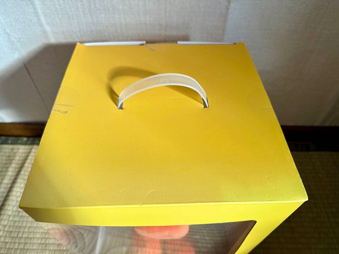 鍋*様 【箱傷み大の未開封品】ラインフレンズ　サリーぬいぐるみ