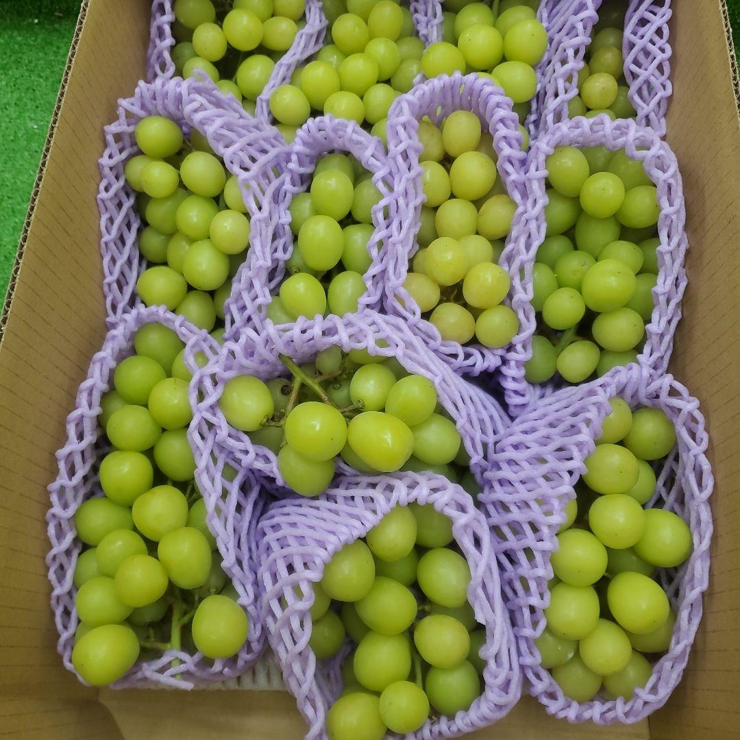 7️⃣ 山梨県産 シャインマスカット １２房入り 箱込み5.5キロ