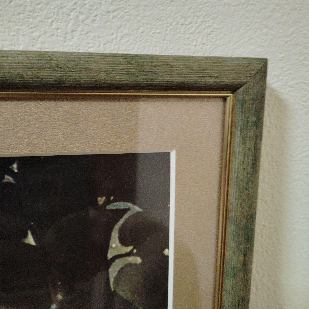 アンリ・ルソー蛇使いの女62cm56.5cmお値下げ不可