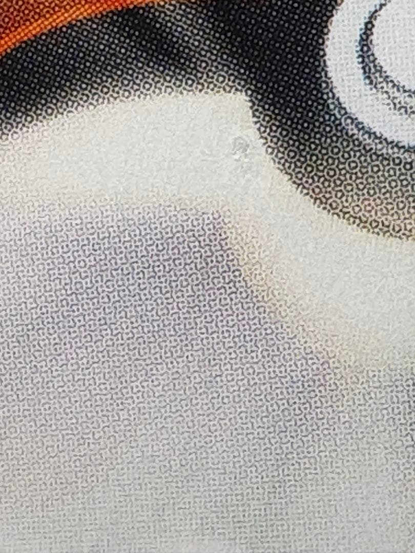 ポケモンカードゲーム　メガサーナイトex SAR