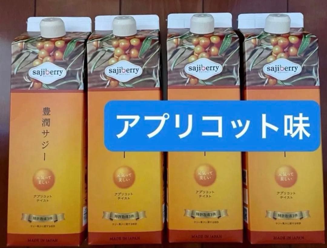 【本日発送】豊潤サジー4本セット