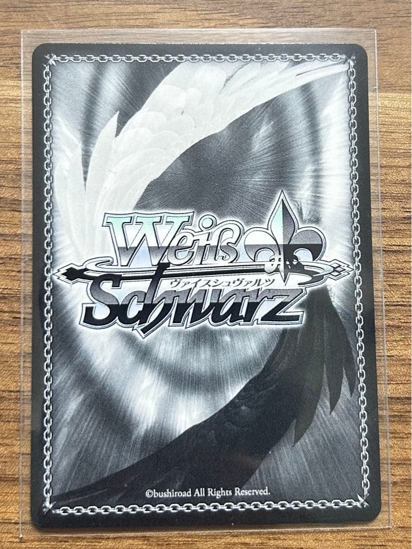 【24時間以内発送】極光　リーリヤ　SEC