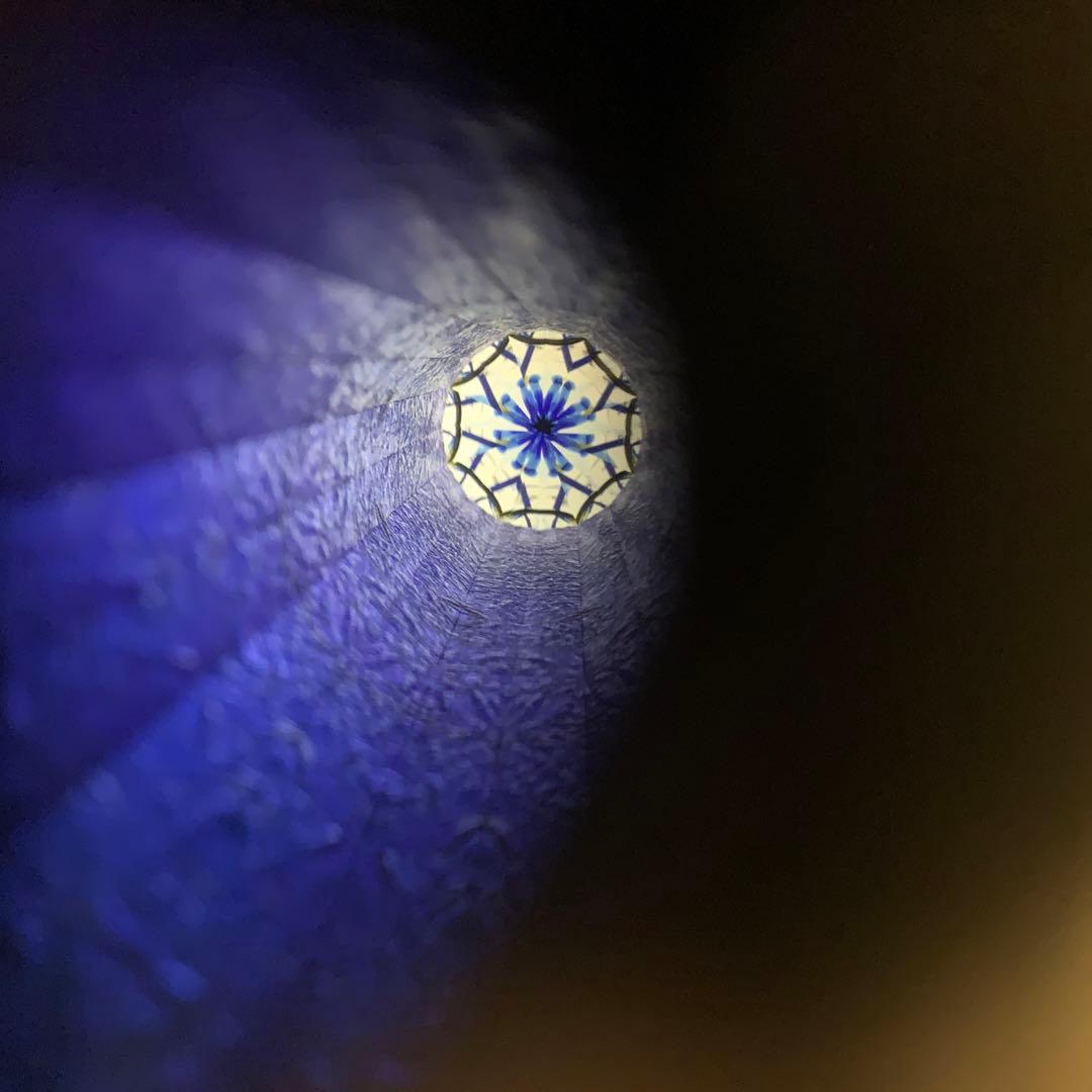 蘭花散らし.万華鏡