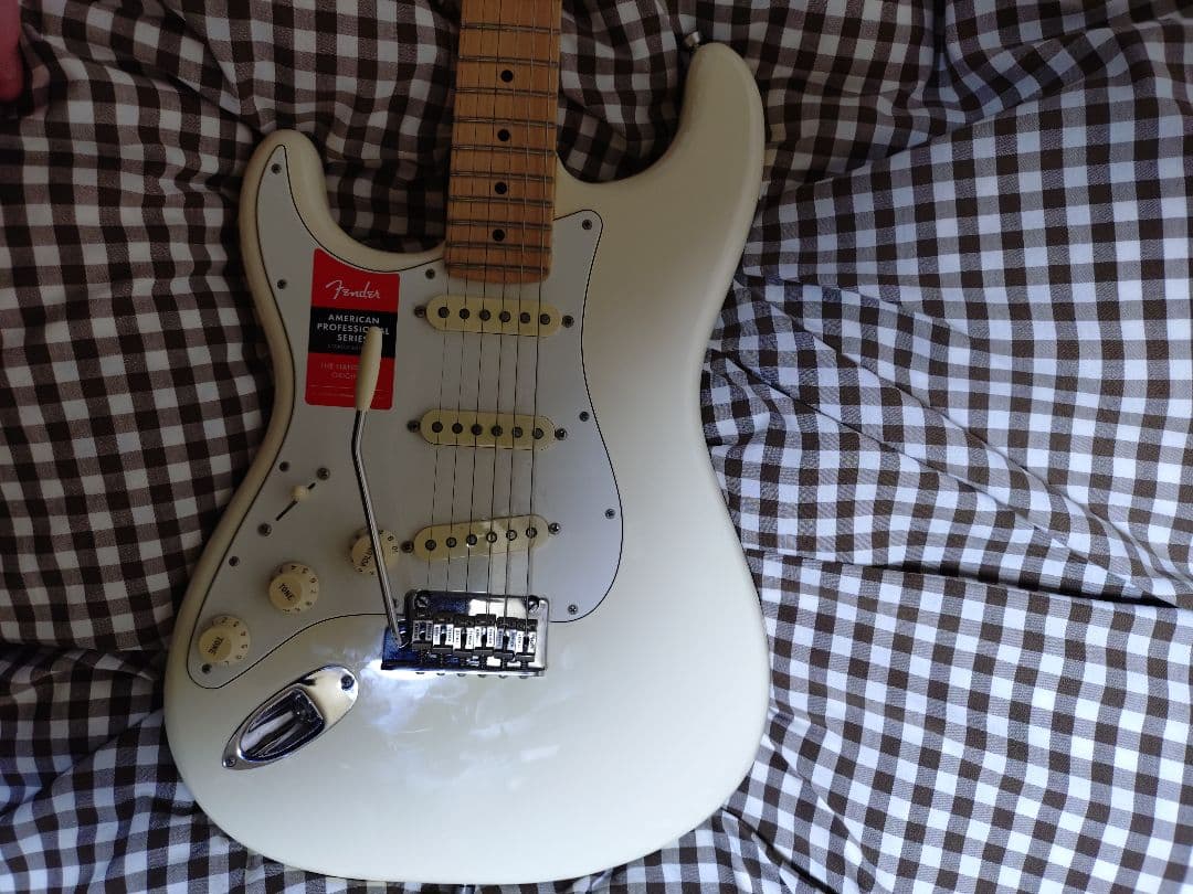 Fender AmericanProfessionalレフティ ハードケース付き