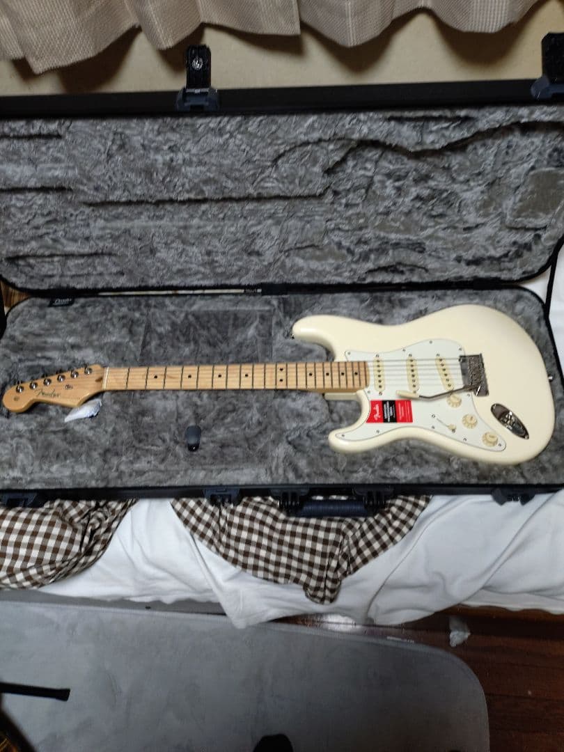 Fender AmericanProfessionalレフティ ハードケース付き