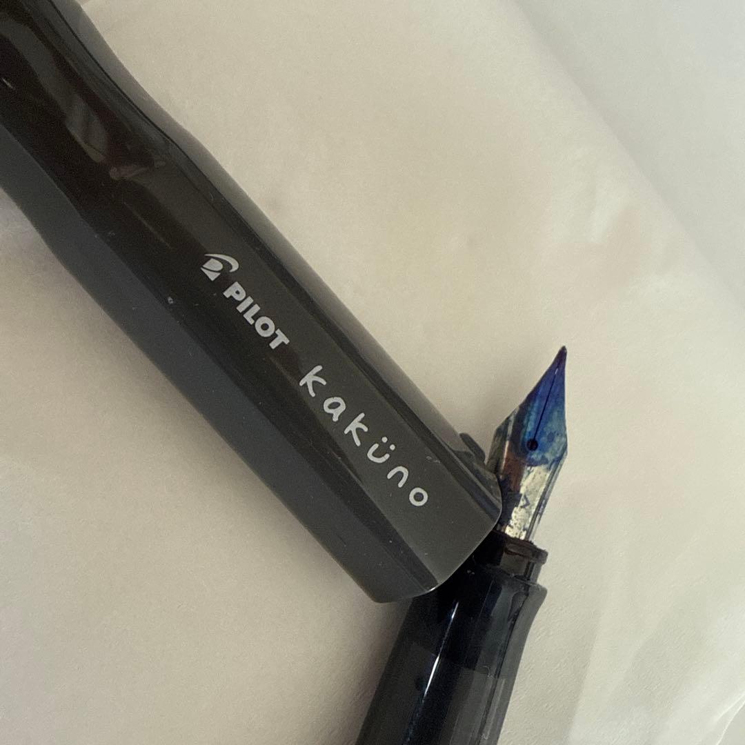 画家の兄使用 素人確認での出品 Parker PILOT 他 万年筆