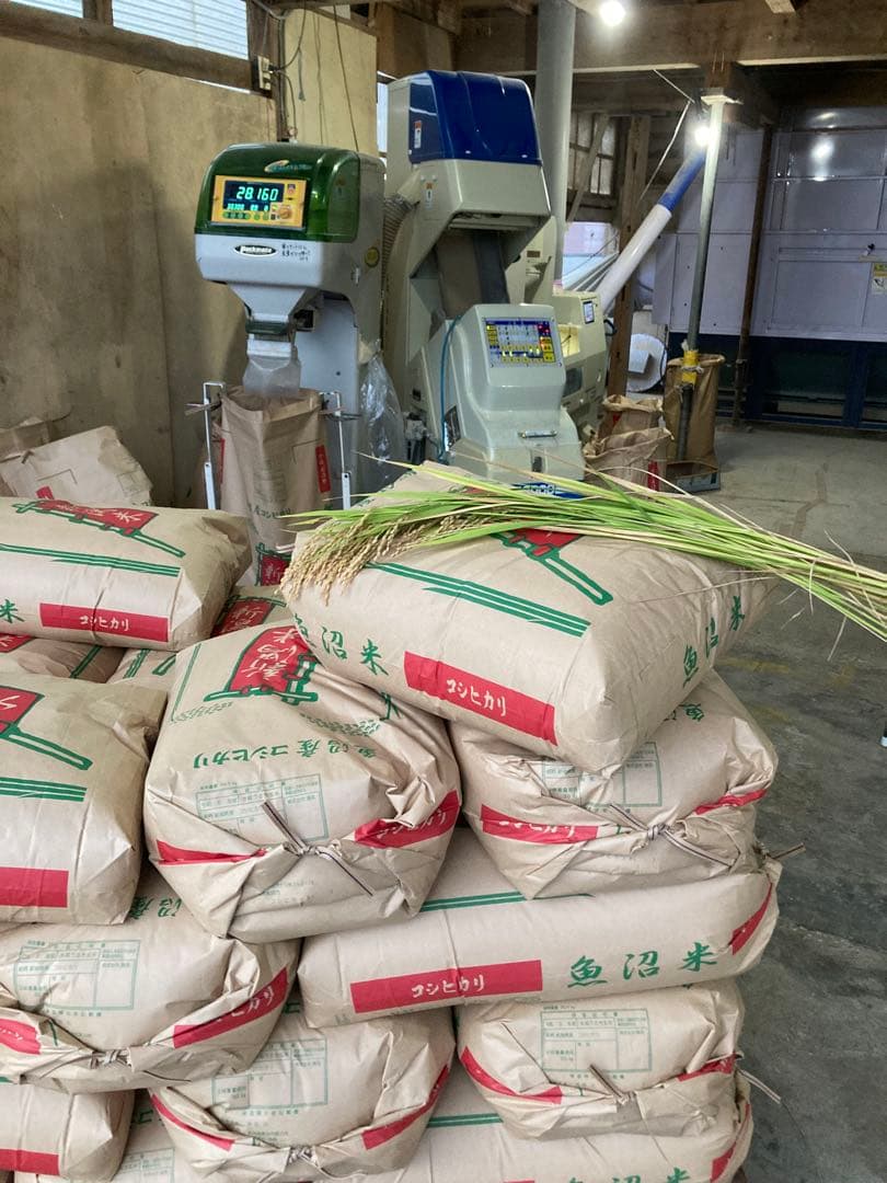 令和7年魚沼産コシヒカリ精米30kg