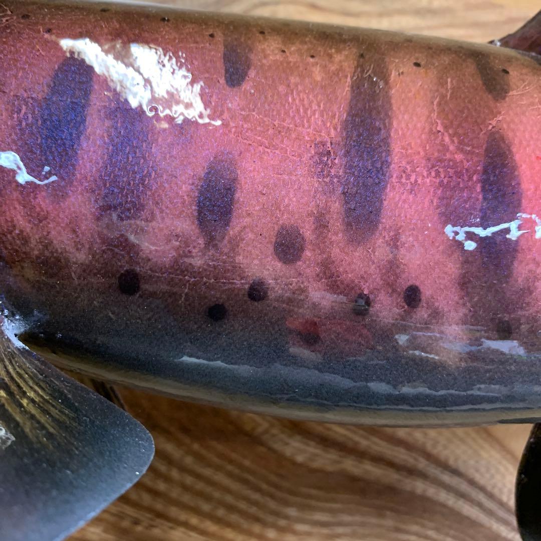 剥製エフクラフト　最終形態鼻曲がり雄43センチパーマーク