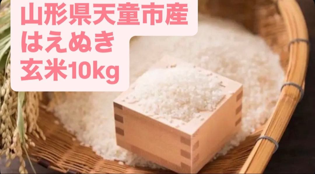 ♡はえぬき♡令和7年山形県天童産♡玄米10kg
