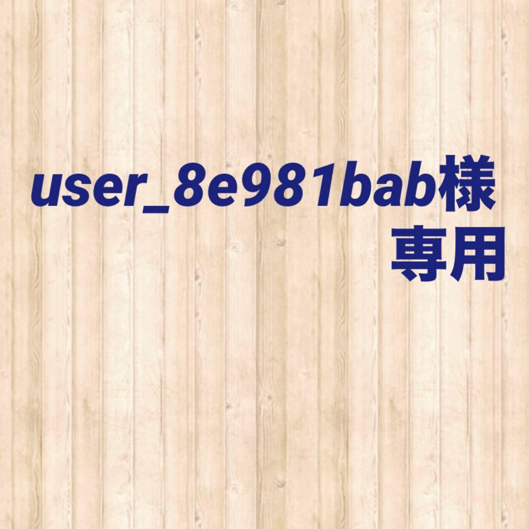 user_8e981bab
