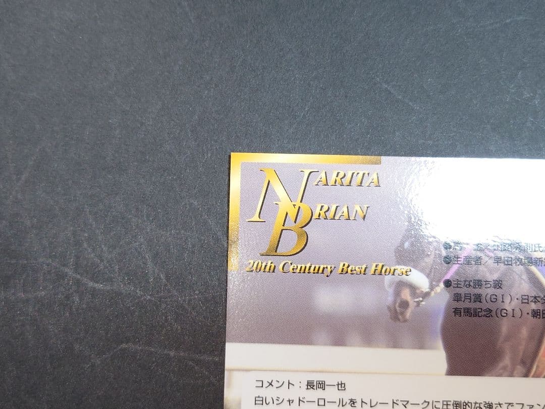 【非売品】サラブレッドカード2000下半期 プレゼント ナリタブライアン カード