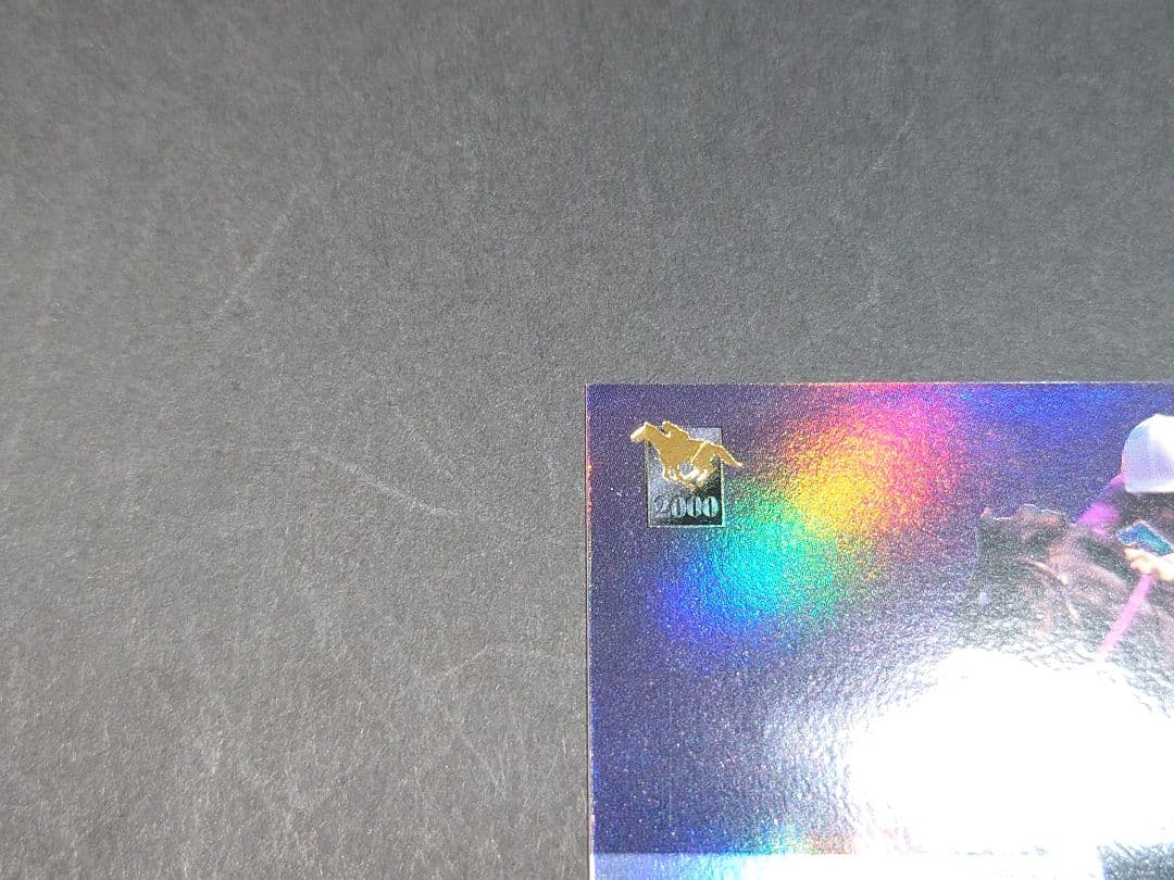 【非売品】サラブレッドカード2000下半期 プレゼント ナリタブライアン カード