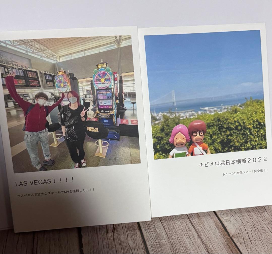 ミュージシャン MELOGAPPA