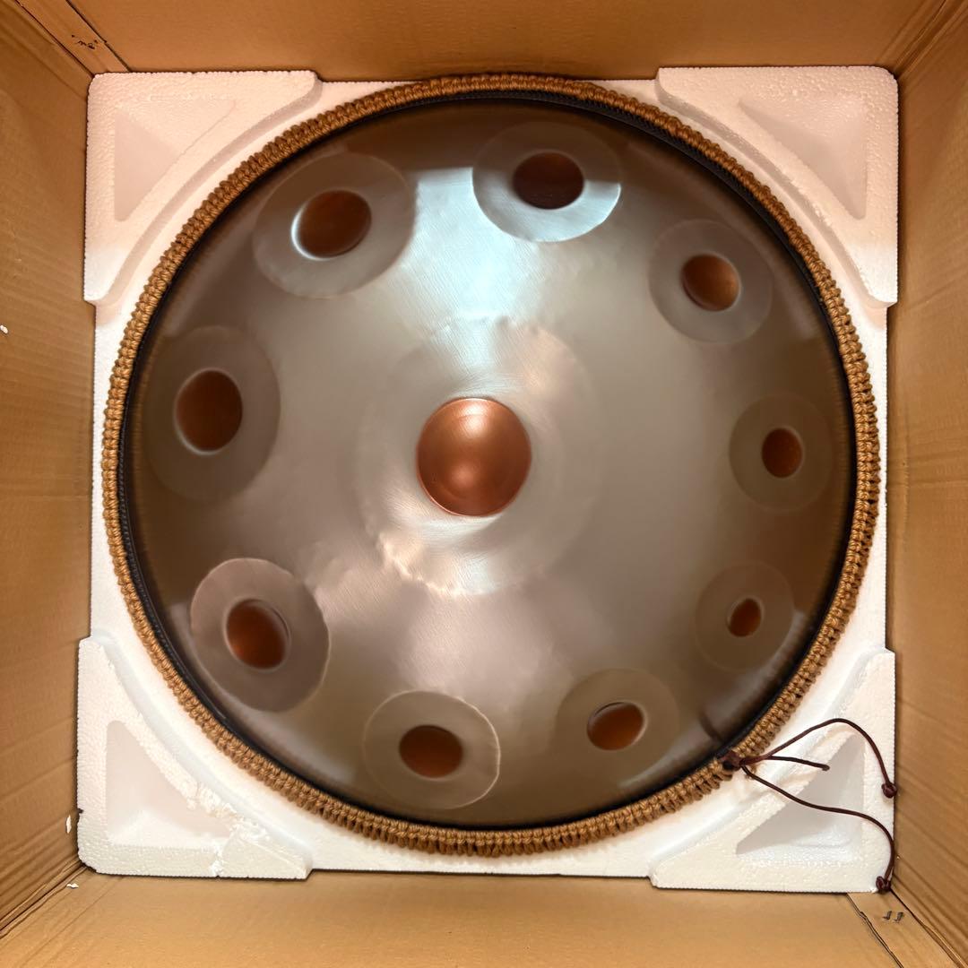 ハンドパン Dマイナー 10音 432Hz 付属品付き