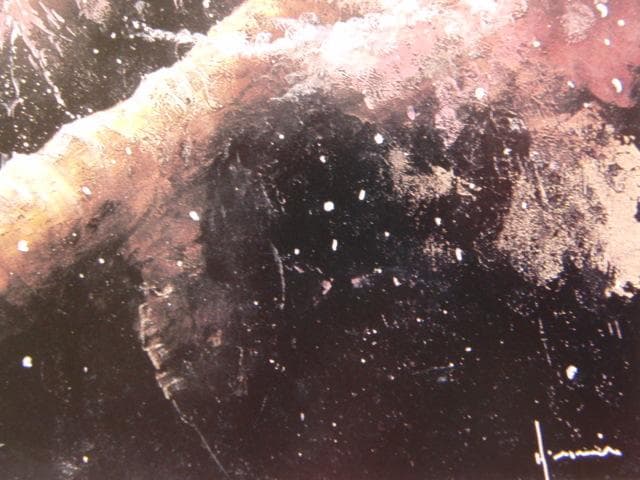 立川広己、【いにしえ】、希少な額装用画集より、美品、新品額装付、インテリア